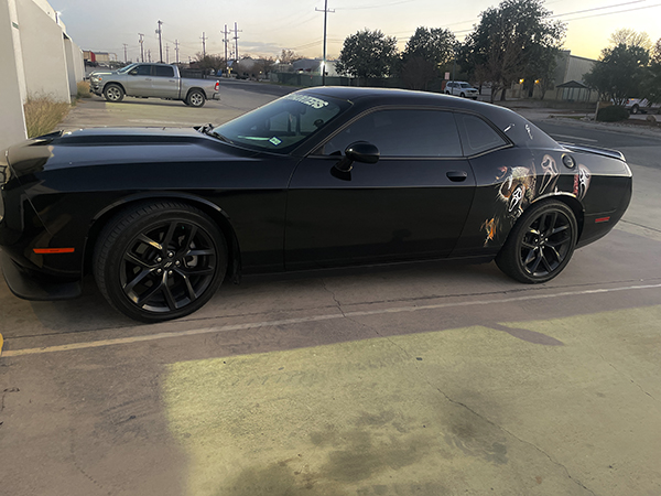 Vehicle Wraps in San Antonio by Venom Street Graphix