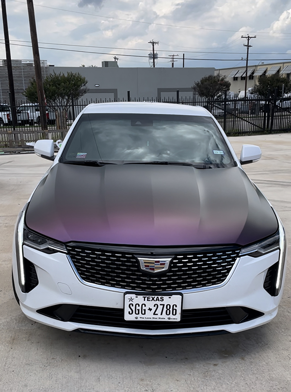 Vehicle Wraps in San Antonio by Venom Street Graphix